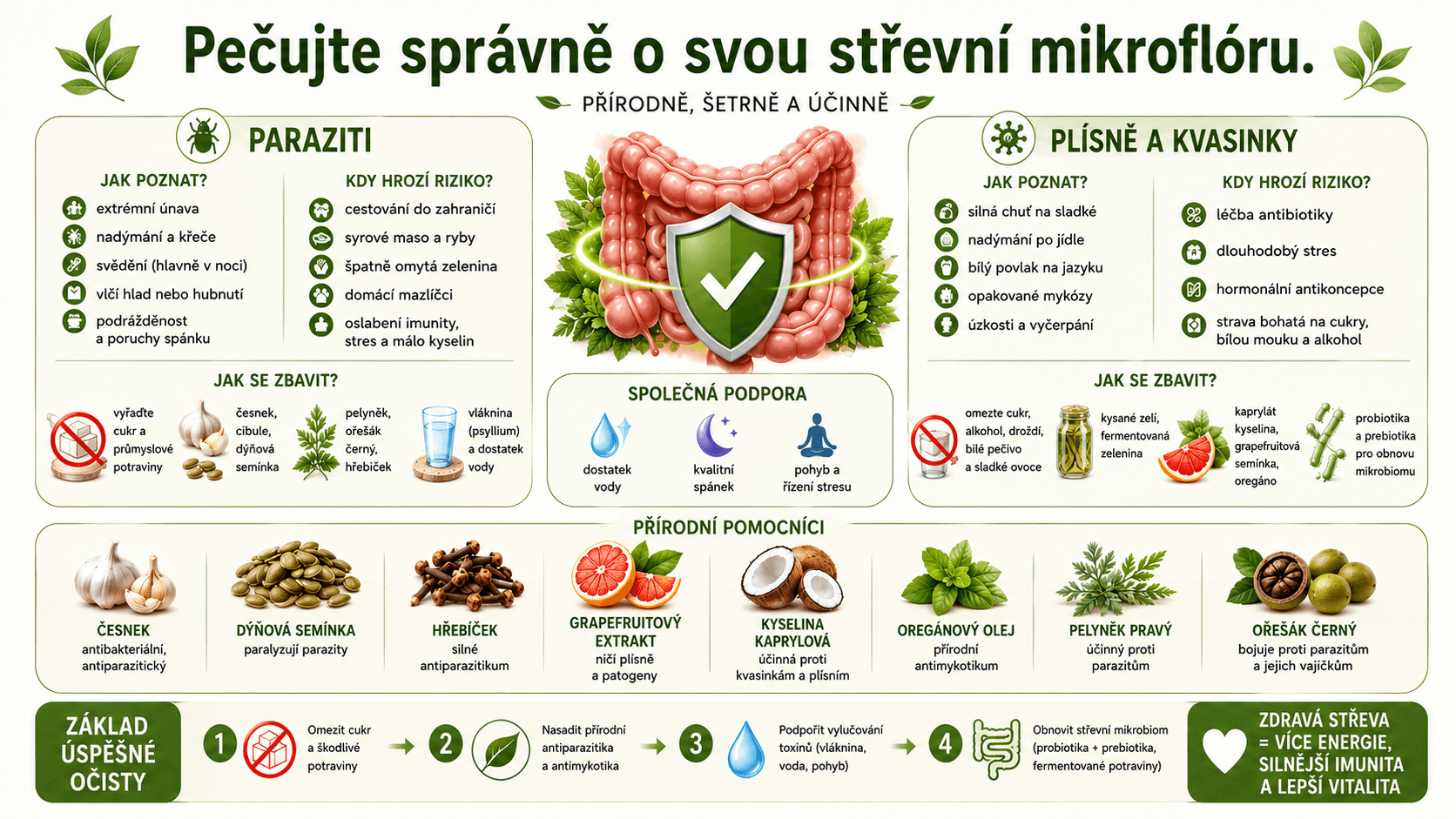Jak vyčistit střeva od plísní (2)